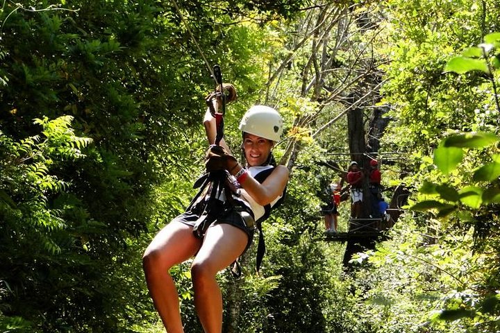 Congo Canopy tour